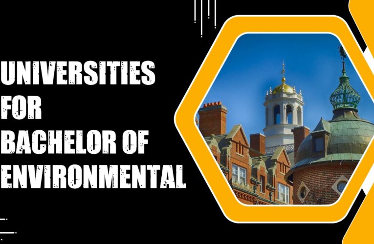 Top 4 Universities for Bachelor of Environmental Science Students in the USA