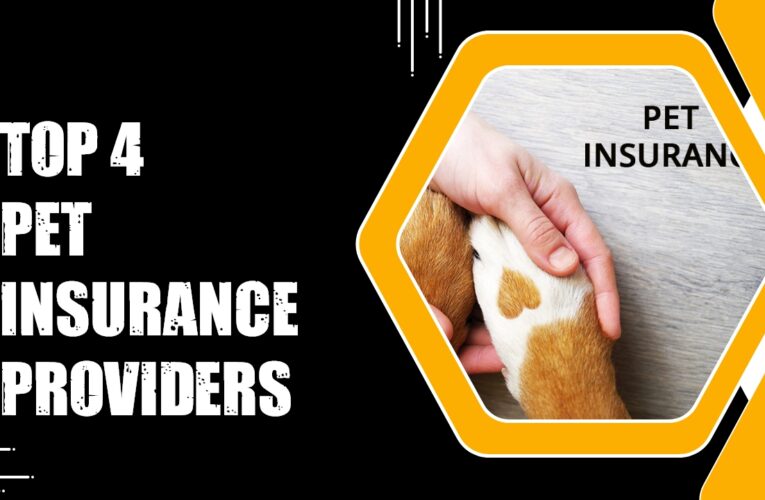 Top 4 Pet Insurance Providers in the USA